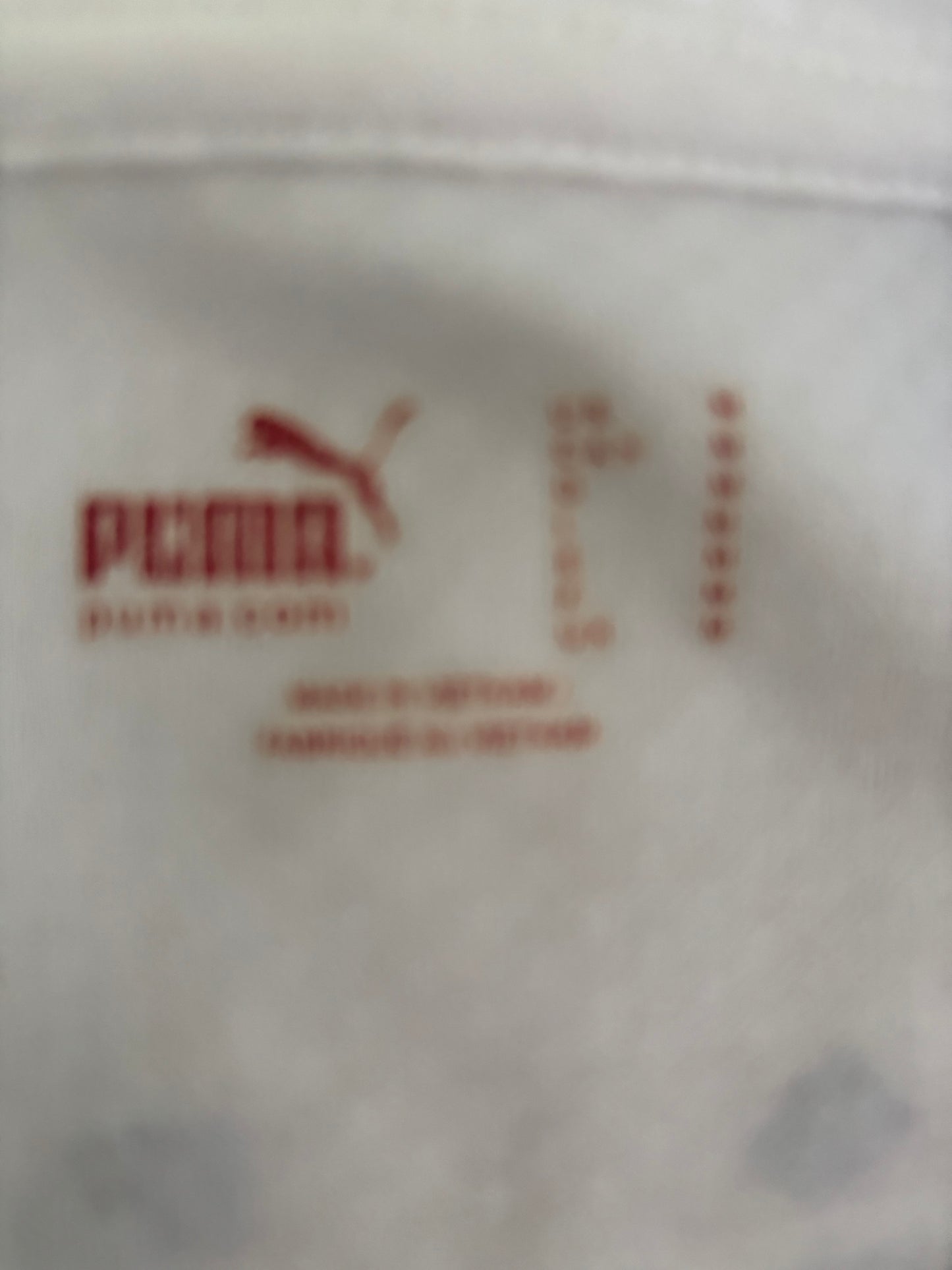 Andrea Pirlo Italy 2010 World Cup original vintage football jersey Puma badge close up