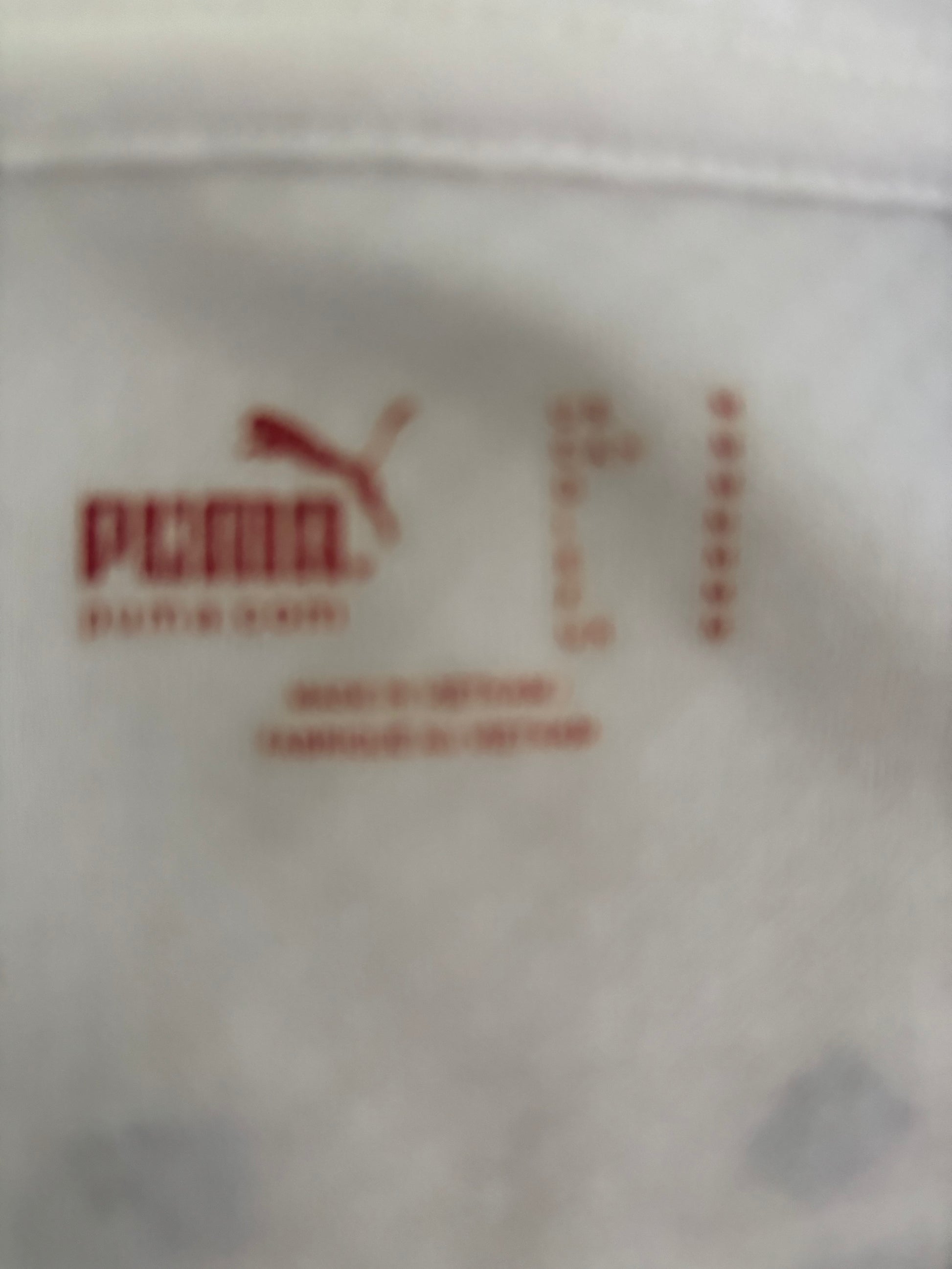 Andrea Pirlo Italy 2010 World Cup original vintage football jersey Puma badge close up