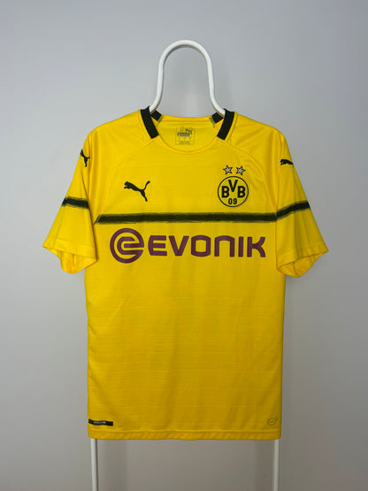 Christian Pulisic - Borussia Dortmund 2018/19. Str M