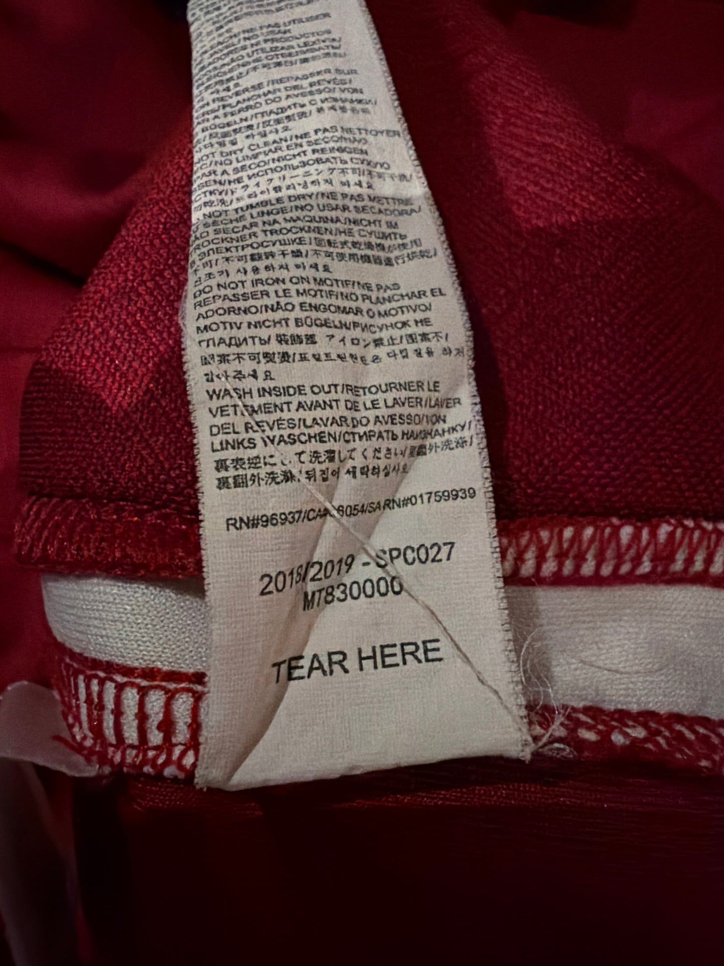 Roberto Firmino - Liverpool FC 2018/19. Str L